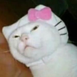 Meet your Posher, Bryton